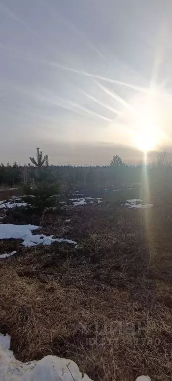 Участок в Нижегородская область, Богородский муниципальный округ, д. ... - Фото 0