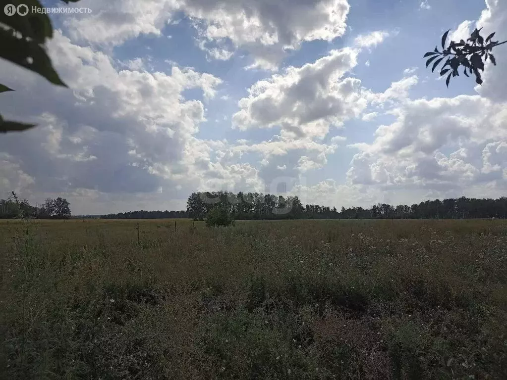 Участок в Любинский район, село Любино-Малороссы (20 м) - Фото 1