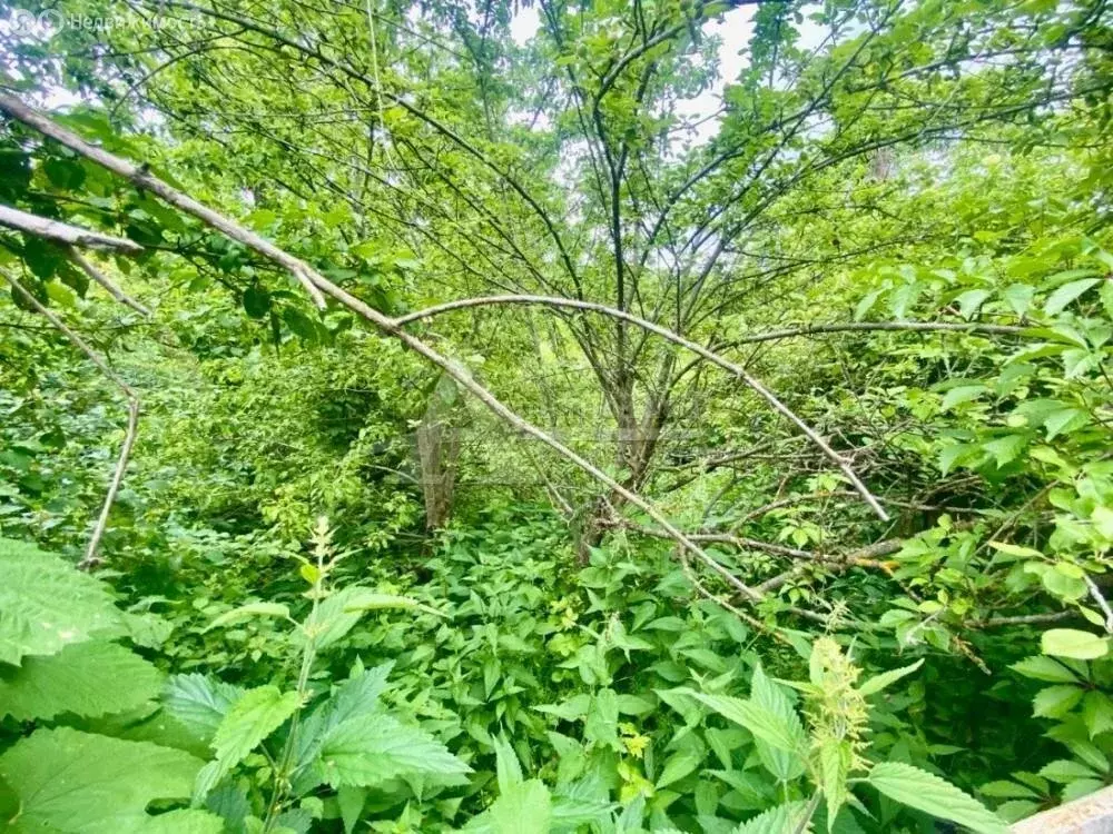 Дом в Ставропольский край, городской округ Кисловодск, посёлок ... - Фото 0