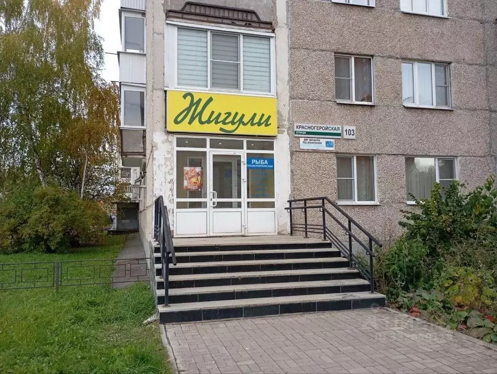 Помещение свободного назначения в Удмуртия, Ижевск Красногеройская ... - Фото 1