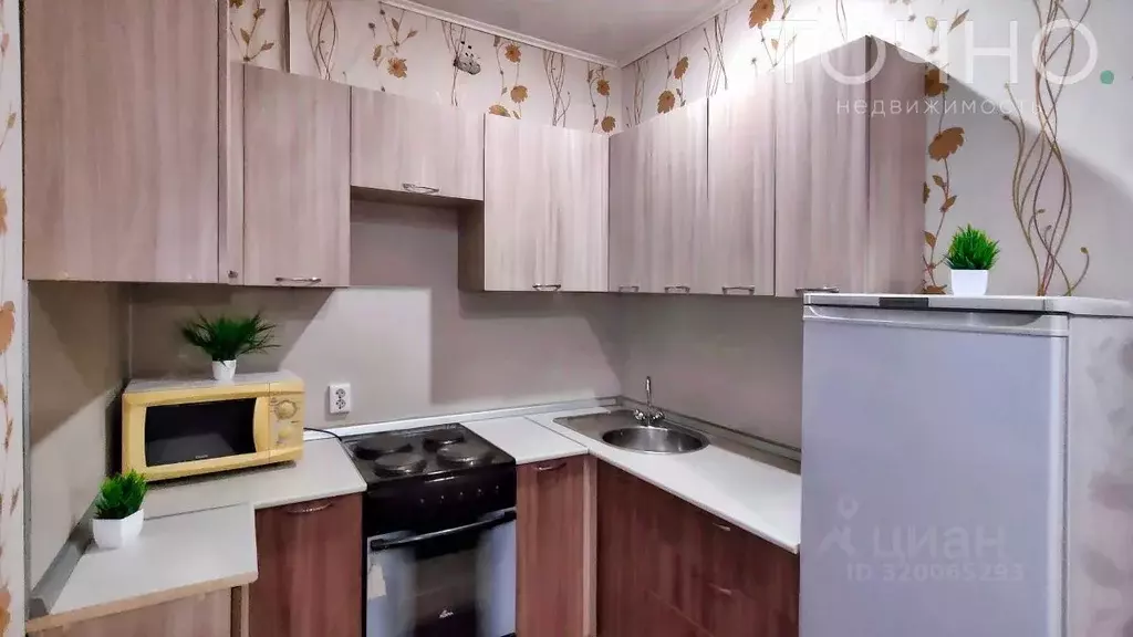 1-к кв. Пензенская область, Пензенский район, Засечный сельсовет, с. ... - Фото 2