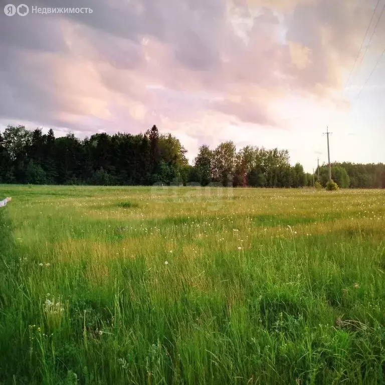 Участок в Ярославская область, Тутаевский муниципальный округ, ... - Фото 0