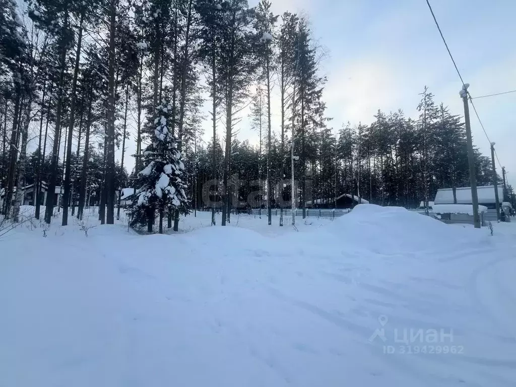 Участок в Коми, Сыктывдинский район, с. Выльгорт ул. Озерная 2-й ... - Фото 2