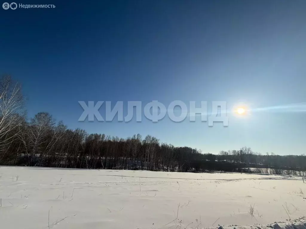 Участок в Новосибирская область, рабочий посёлок Кольцово, 6-й ... - Фото 0