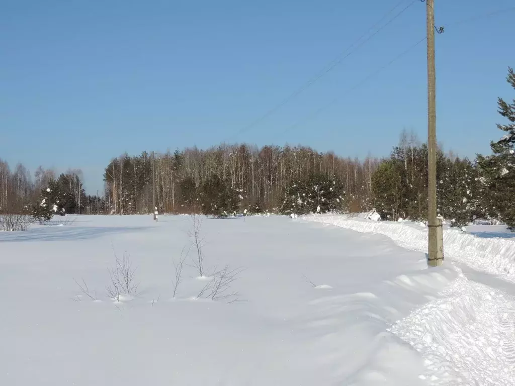 Участок в Кировская область, Юрьянский район, с. Великорецкое  (3.044 ... - Фото 1