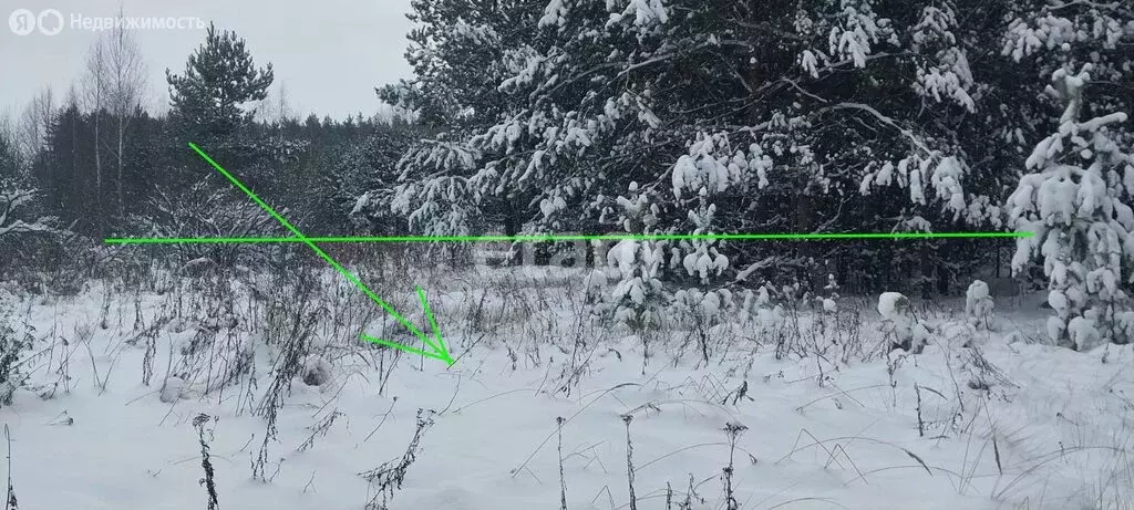 Участок в округ Муром, село Лазарево (10 м) - Фото 1