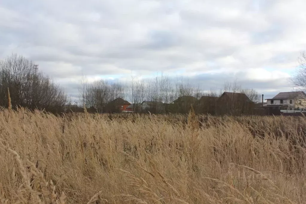 Участок в Москва д. Кузнецово, ул. Березовая (14.93 сот.) - Фото 1