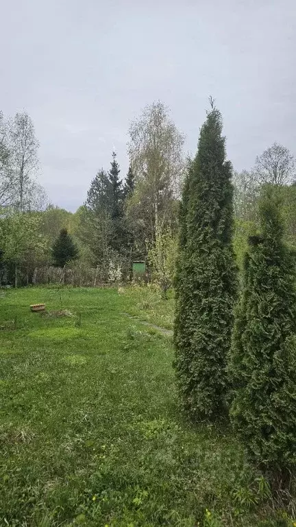 Дом в Московская область, Одинцовский городской округ, Весна-9 СНТ 100 ... - Фото 2