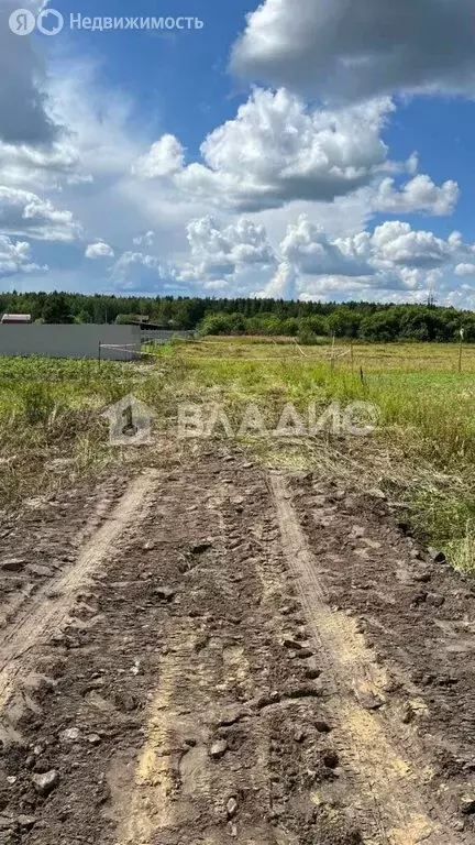 Участок в деревня Вашутино, Лесная улица, 1 (14.66 м) - Фото 0