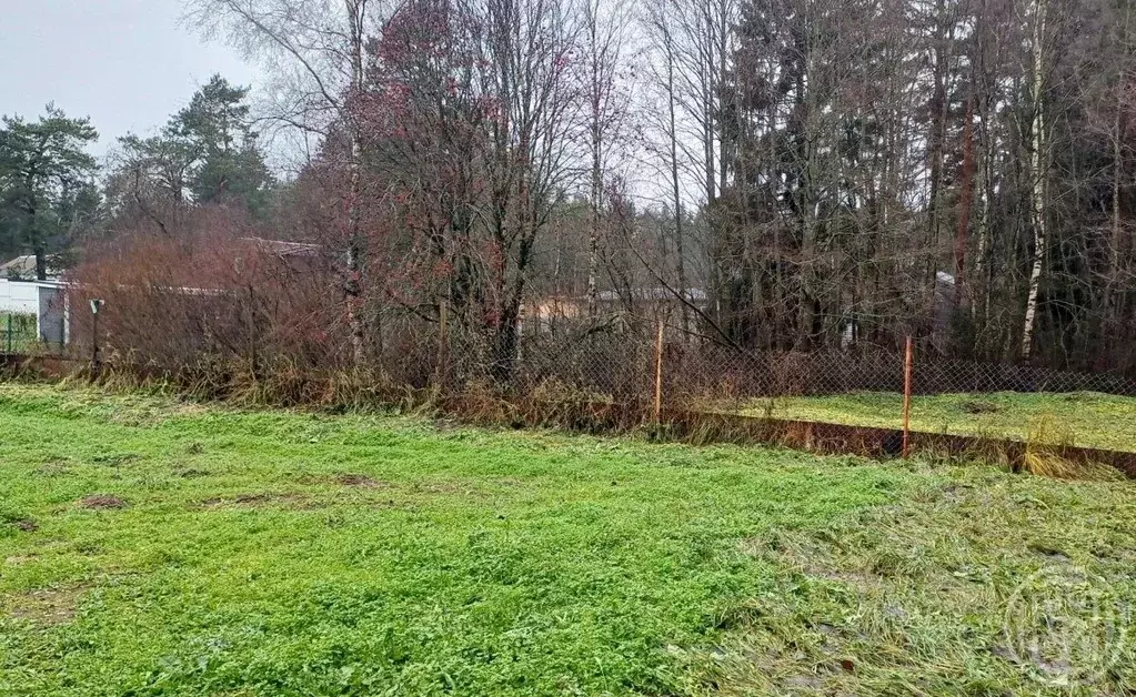 Участок в Ленинградская область, Выборгский район, пос. Первомайское ... - Фото 2