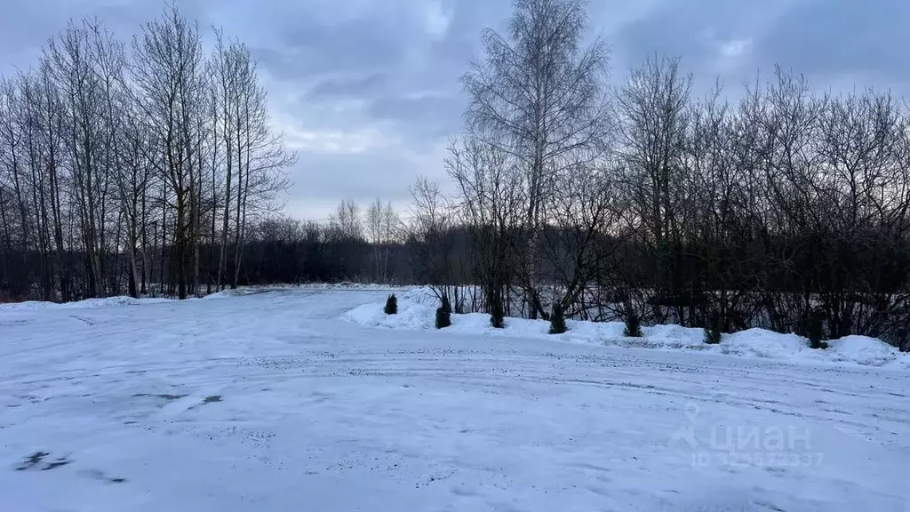 Участок в Московская область, Раменский муниципальный округ, Оттепель ... - Фото 1