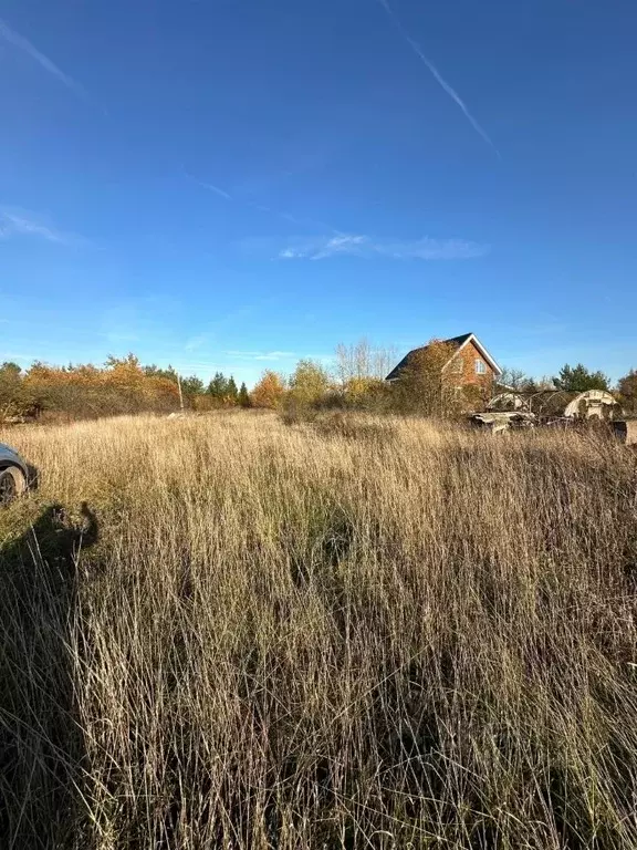 Участок в Новгородская область, Новгородский район, Трубичинское ... - Фото 0