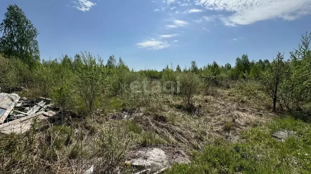 Участок в Тюменская область, Нижнетавдинский район, Сочинское ДНТ  ... - Фото 1