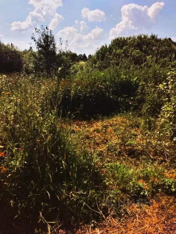 Участок в Владимирская область, Александровский муниципальный округ, ... - Фото 2
