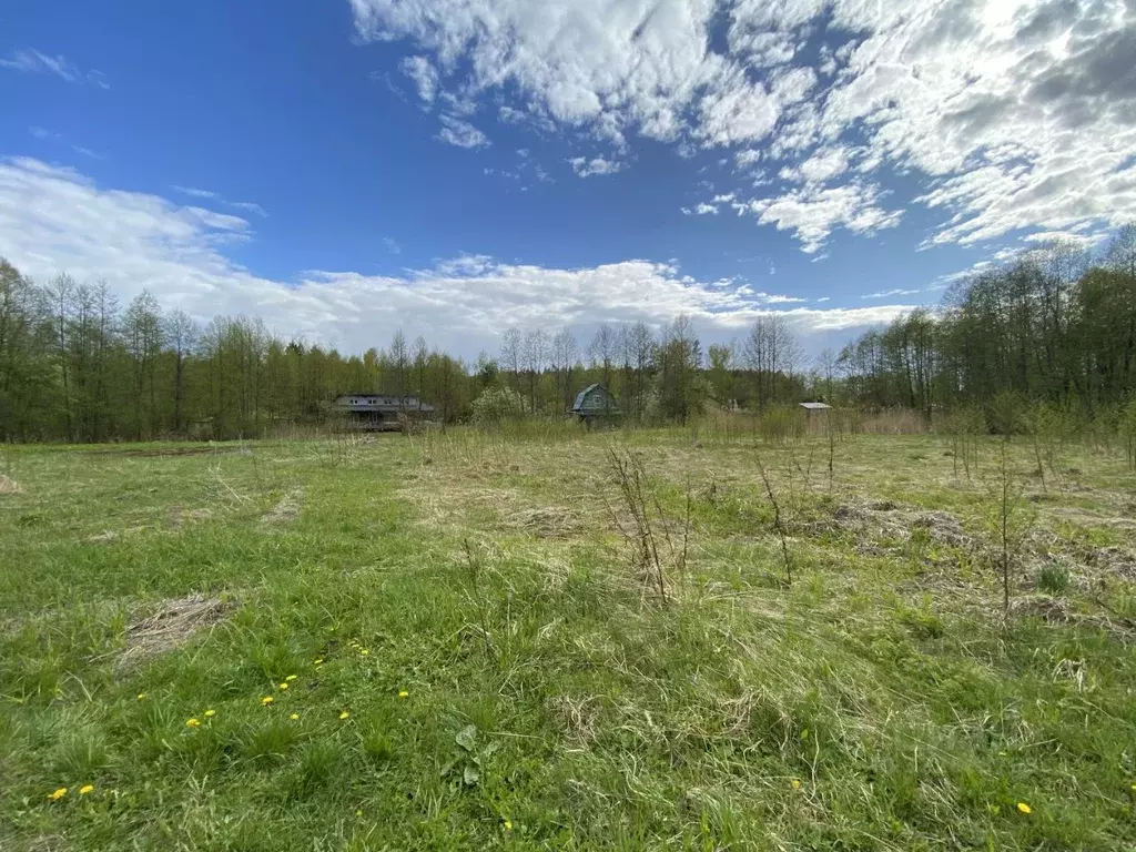 Участок в Тверская область, Конаковский муниципальный округ, Юность ... - Фото 0