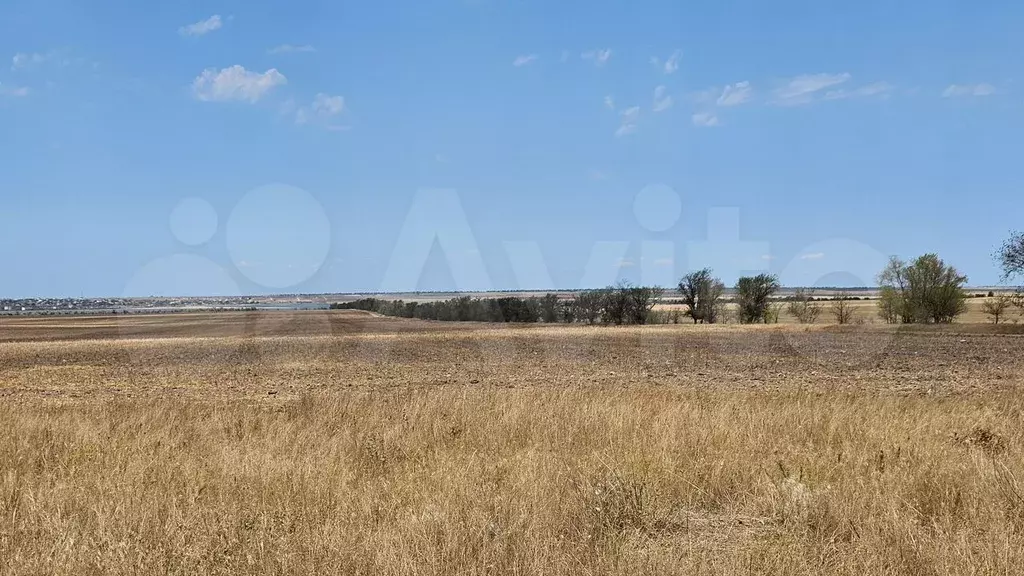 Участок 1,06 га (СНТ, ДНП) - Фото 1