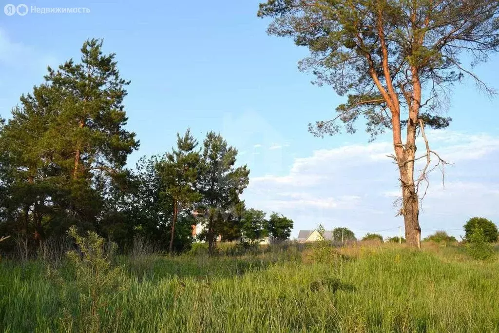 Участок в село Ямное, Комсомольская улица, 21/2 (9 м) - Фото 0