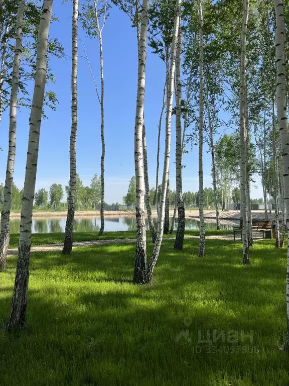 Участок в Тюменская область, Нижнетавдинский муниципальный округ, 7 ... - Фото 1