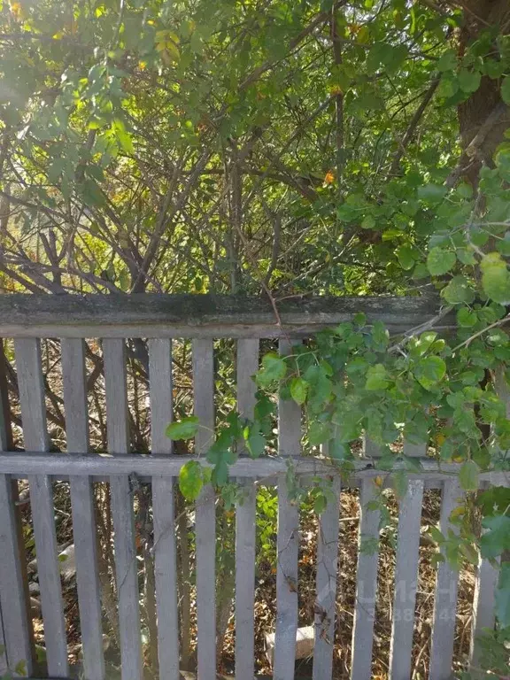 Участок в Краснодарский край, Ейский район, Должанская ст-ца ... - Фото 1