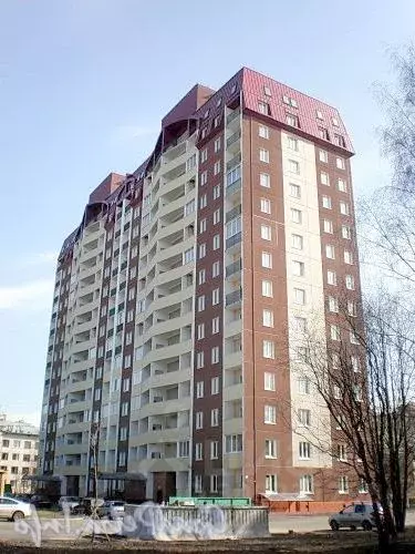 1-к кв. Санкт-Петербург ул. Дыбенко, 21к3 (43.1 м) - Фото 1