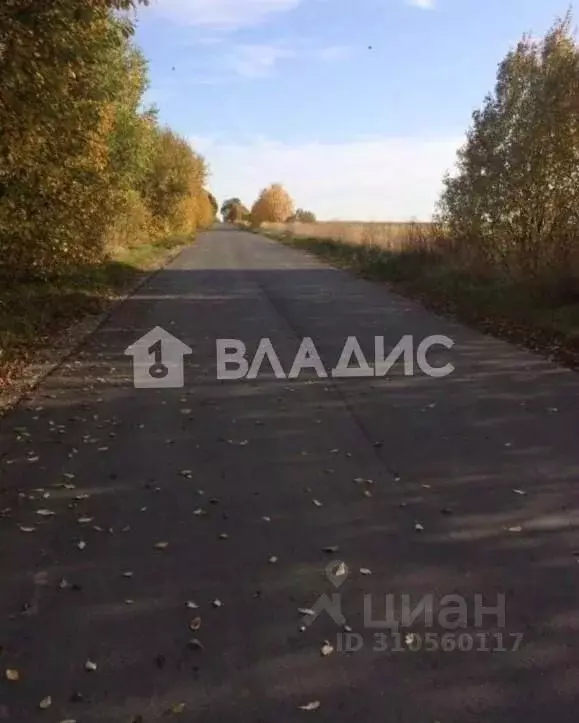 Участок в Владимирская область, Судогодский район, Муромцевское ... - Фото 1