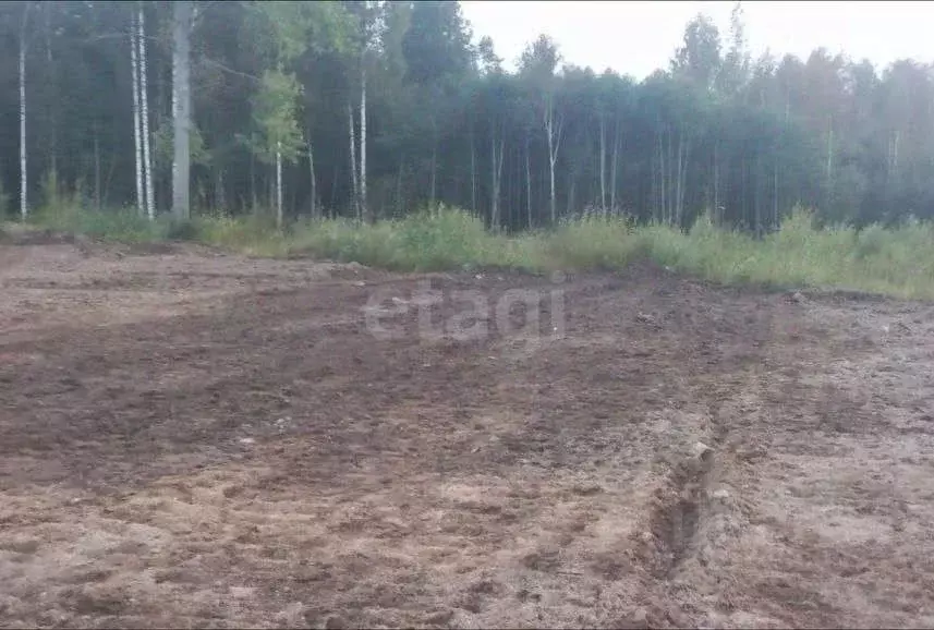 Участок в Ленинградская область, Всеволожский район, Свердловское ... - Фото 0