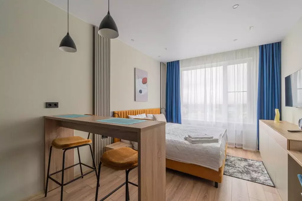 Студия Санкт-Петербург просп. Энергетиков, 8к2 (25.0 м) - Фото 2