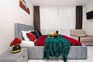 1-к кв. Краснодарский край, Сочи Центральный мкр, ул. Навагинская, 11Б ... - Фото 1