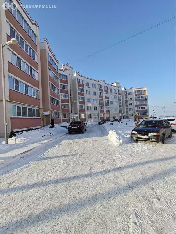 1-комнатная квартира: село Засечное, улица Механизаторов, 30 (34 м) - Фото 1