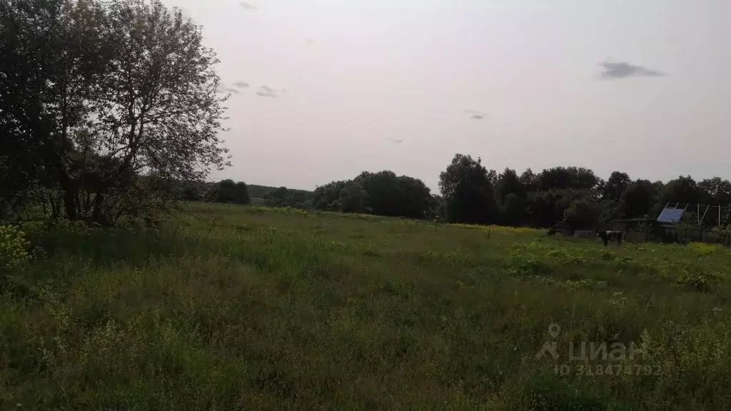 Участок в Тульская область, Алексин городской округ, с. Спас-Конино  ... - Фото 1