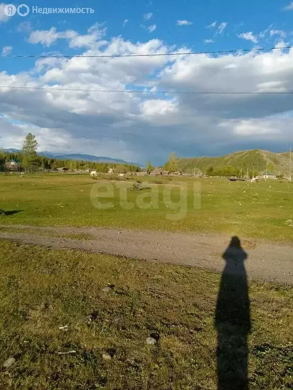 Участок в Усть-Коксинский район, село Верх-Уймон (10 м) - Фото 1