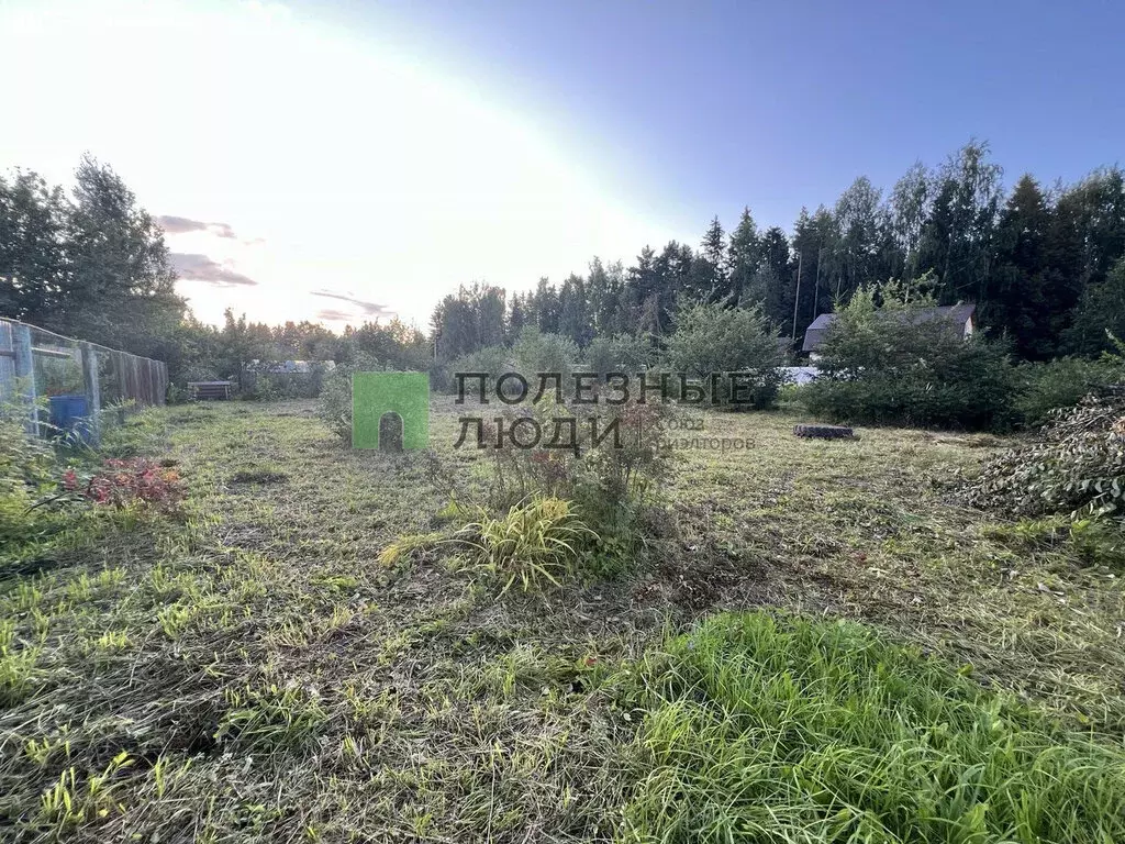 Участок в Завьяловский район, СНТ Восток-1 (9.96 м) - Фото 0
