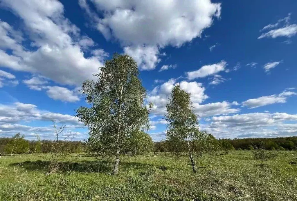 Участок в Свердловская область, Каменск-Уральский № 108 тер. кст, 6 ... - Фото 0