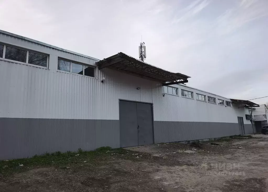 Помещение свободного назначения в Московская область, Ногинск ... - Фото 1