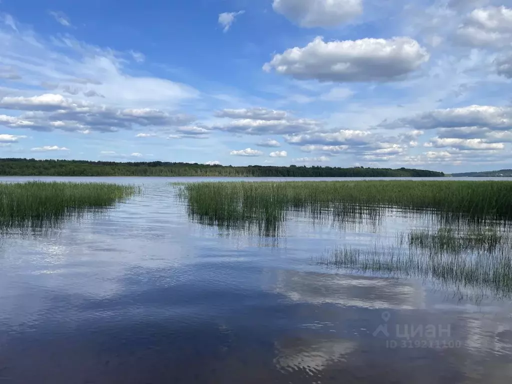 Участок в Ленинградская область, Приозерский район, Красноозерное ... - Фото 0