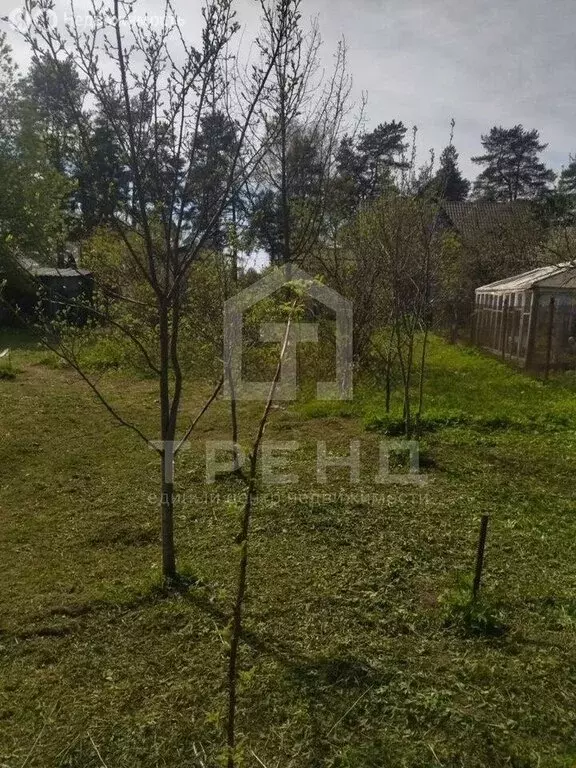 Участок в Всеволожск, 2-я линия, 9 (9 м) - Фото 0