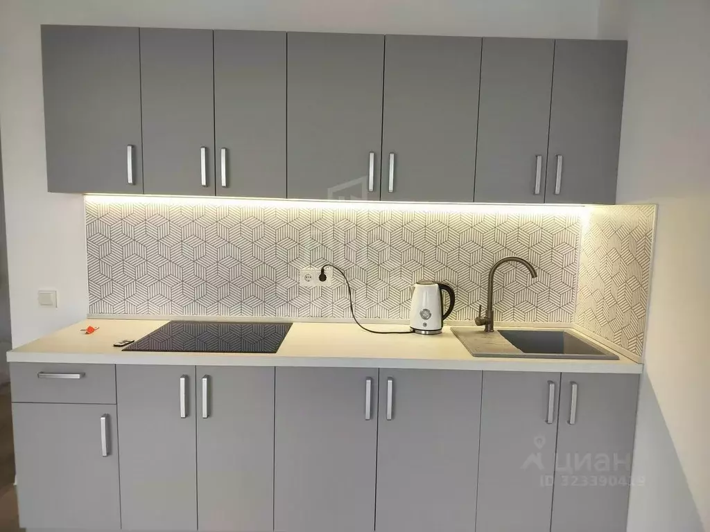 Студия Ленинградская область, Всеволожский район, Заневское городское ... - Фото 1