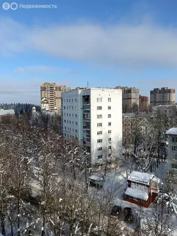 1-комнатная квартира: Краснознаменск, проспект Мира, 1 (26 м) - Фото 2