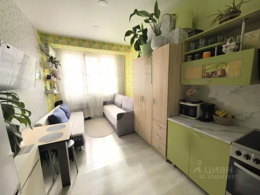 Студия Краснодарский край, Сочи Виноградная ул., 224/11 (21.0 м) - Фото 2