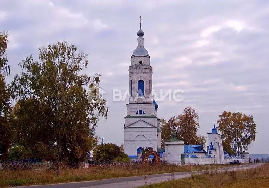 Участок в Владимирская область, Камешковский муниципальный округ, с. ... - Фото 2