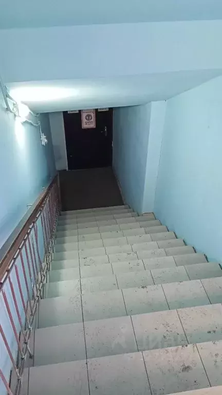 Помещение свободного назначения в Оренбургская область, Оренбург ул. ... - Фото 1