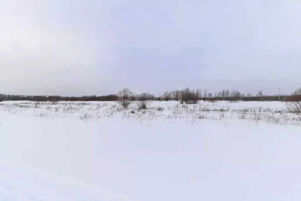 Участок в Тюменская область, Тюменский район, д. Коняшина  (4.4 сот.) - Фото 0