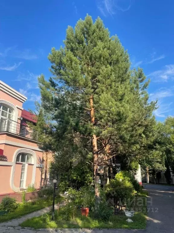 Коттедж в Москва пос. Толстопальцево, Московская ул., 1 (120 м) - Фото 2