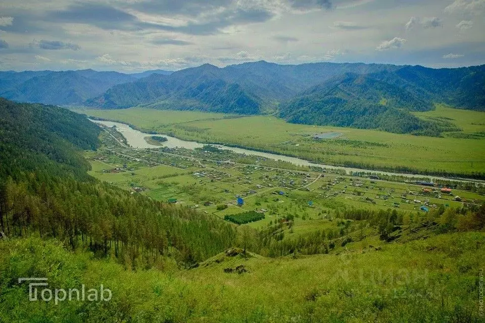 Производственное помещение в Алтай, Усть-Коксинский район, с. ... - Фото 2
