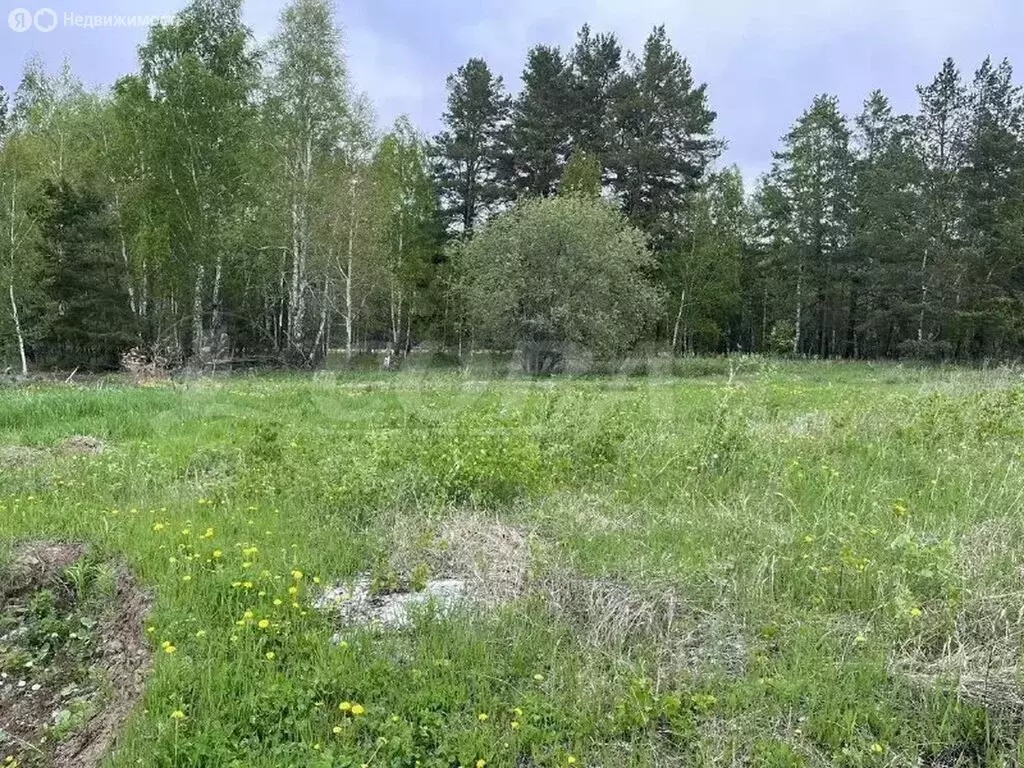 Участок в Каменское муниципальное образование (9.6 м) - Фото 0