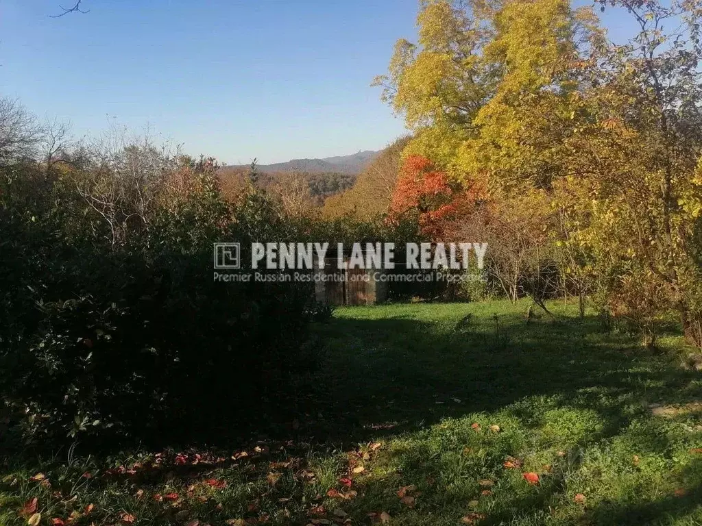 Участок в Краснодарский край, Сочи городской округ, с. Илларионовка ... - Фото 2