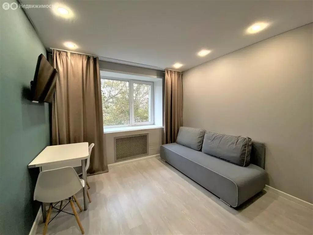 Квартира-студия: Пермь, Подлесная улица, 17 (16.8 м) - Фото 1