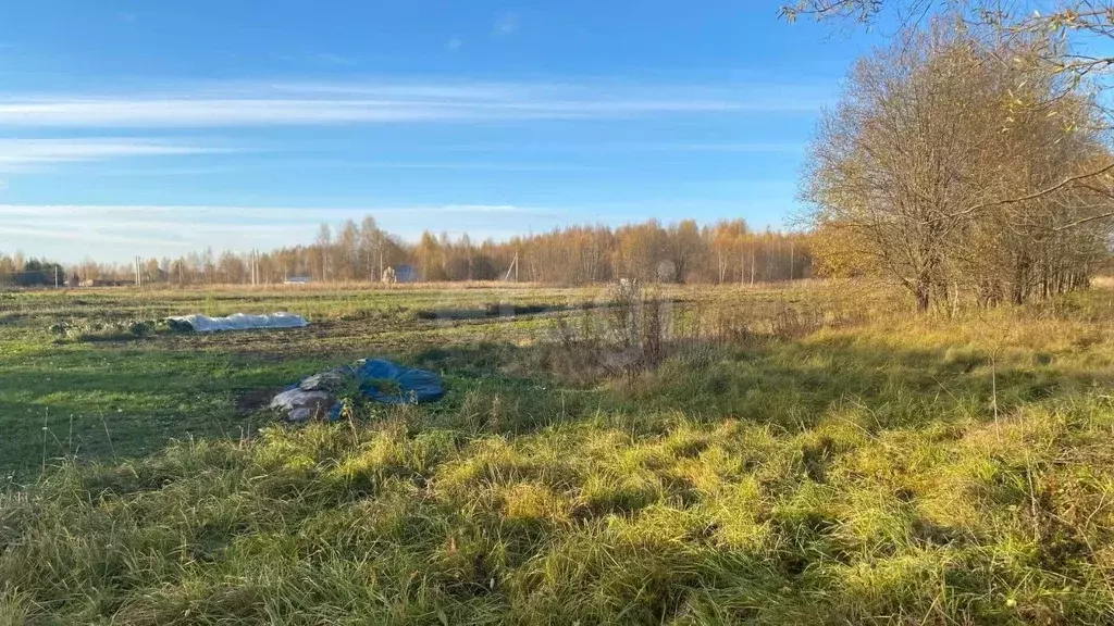 Участок в Костромская область, Красносельский район, Шолоховское ... - Фото 0