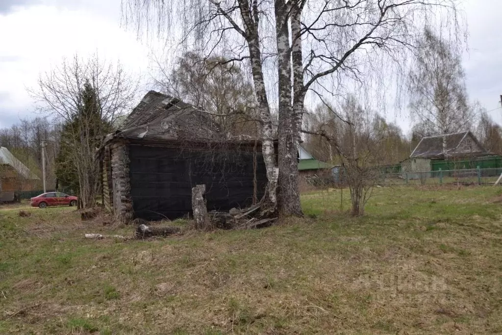 Участок в Тверская область, Осташковский городской округ, д. Турская  ... - Фото 1