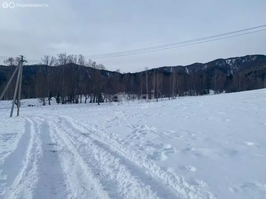 Участок в Чемальский район, поселок Верх-Анос (330.1 м) - Фото 1